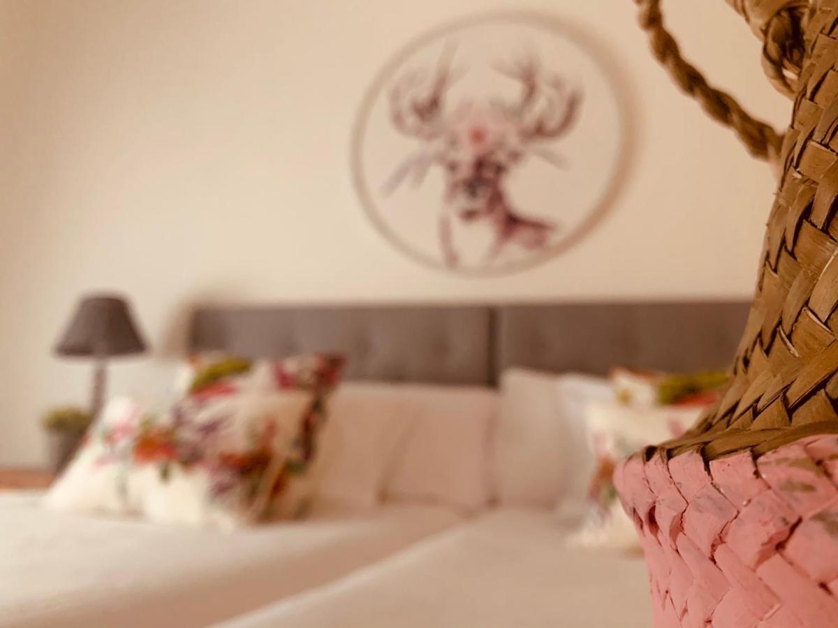Casa Ruy Lopez Hotel Zafra Ngoại thất bức ảnh